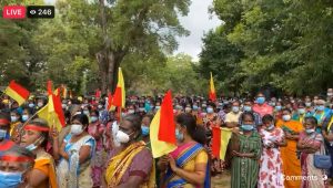 272965034_324507686259492_19257052203574