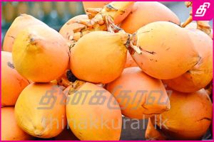 king-coconut-sri-lanka-300x200.jpg