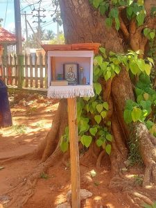 333641861_719414586306866_21182704559305