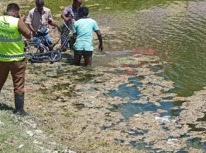 IMG-20230225-WA0035-768x1024-1-300x223.j