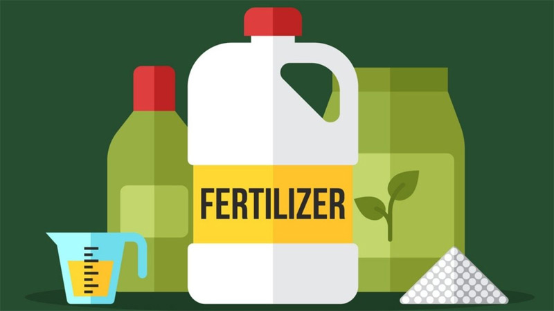 01-Fertilizer.jpg