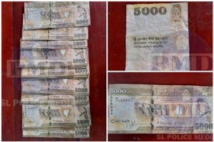 DC0051E7-206D-42C2-867E-DBC7842F9463-300