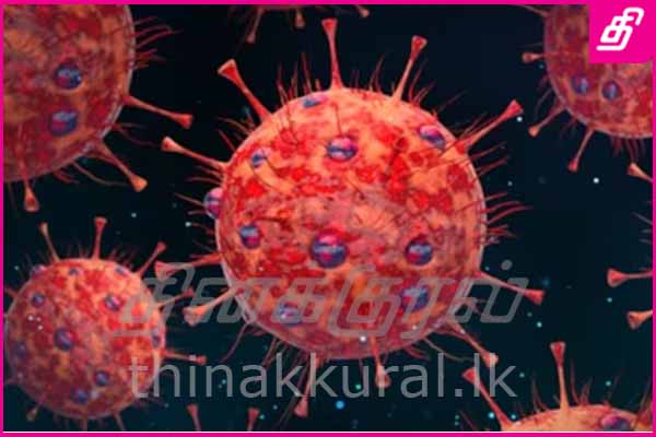 அமெரிக்காவை அச்சுறுத்தும் புதிய வைரஸ்; 50 மாகாணங்களில் பரவியதால் அச்சம்
