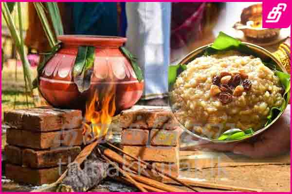 pongal.jpg
